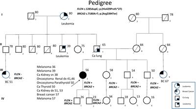 Case Report: A BRCA2 Mutation Identified Through Next-Generation Sequencing in a Birt–Hogg–Dubè Syndrome Family